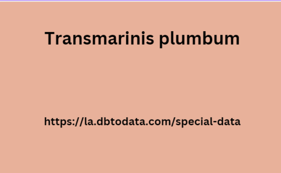 Transmarinis plumbum