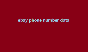 ebay phone number data